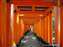 Kyoto Fushimi Inari Japan.jpg