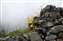 Inca Trail Fog Peru.jpg